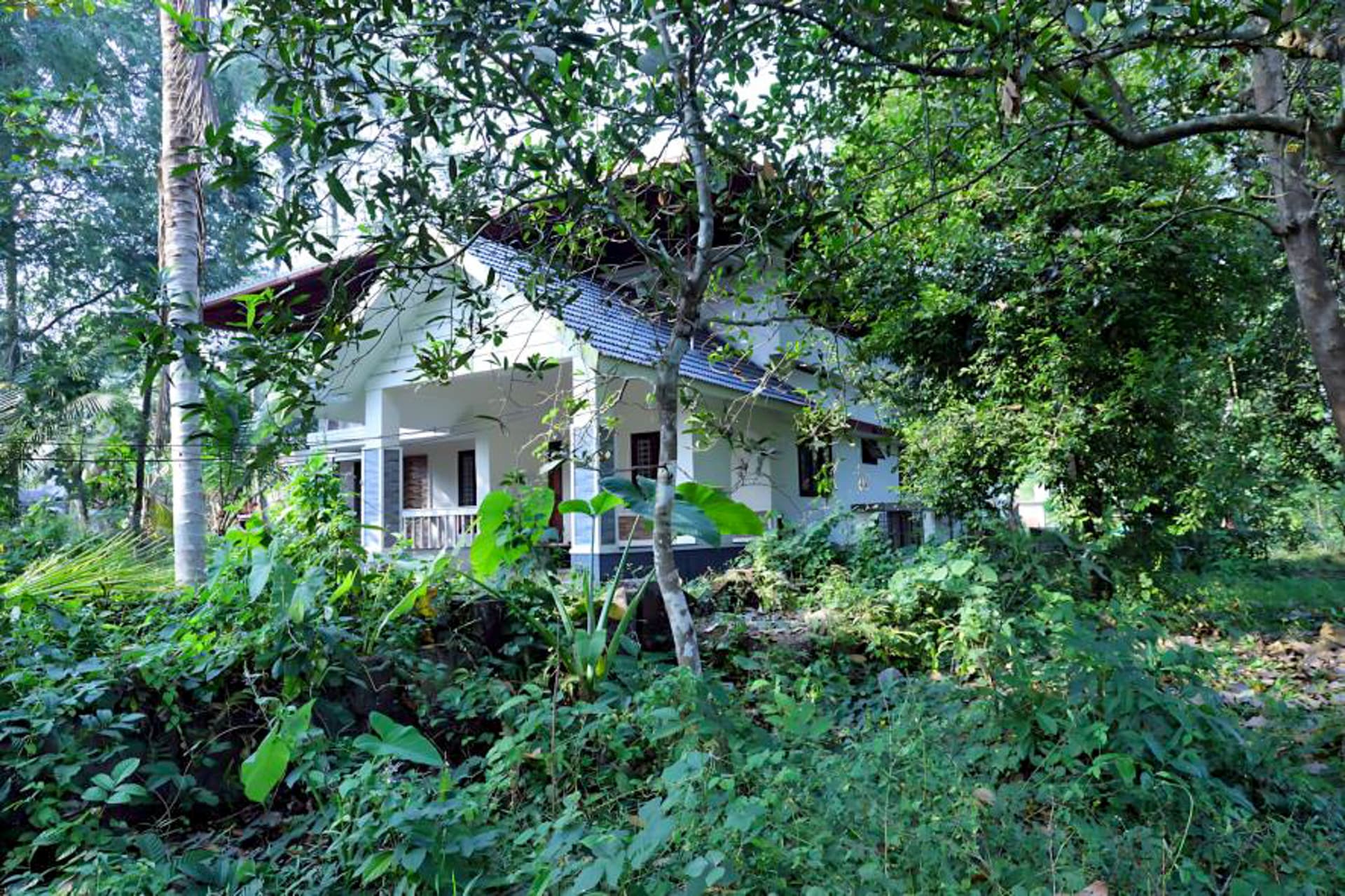 Property Photos 20