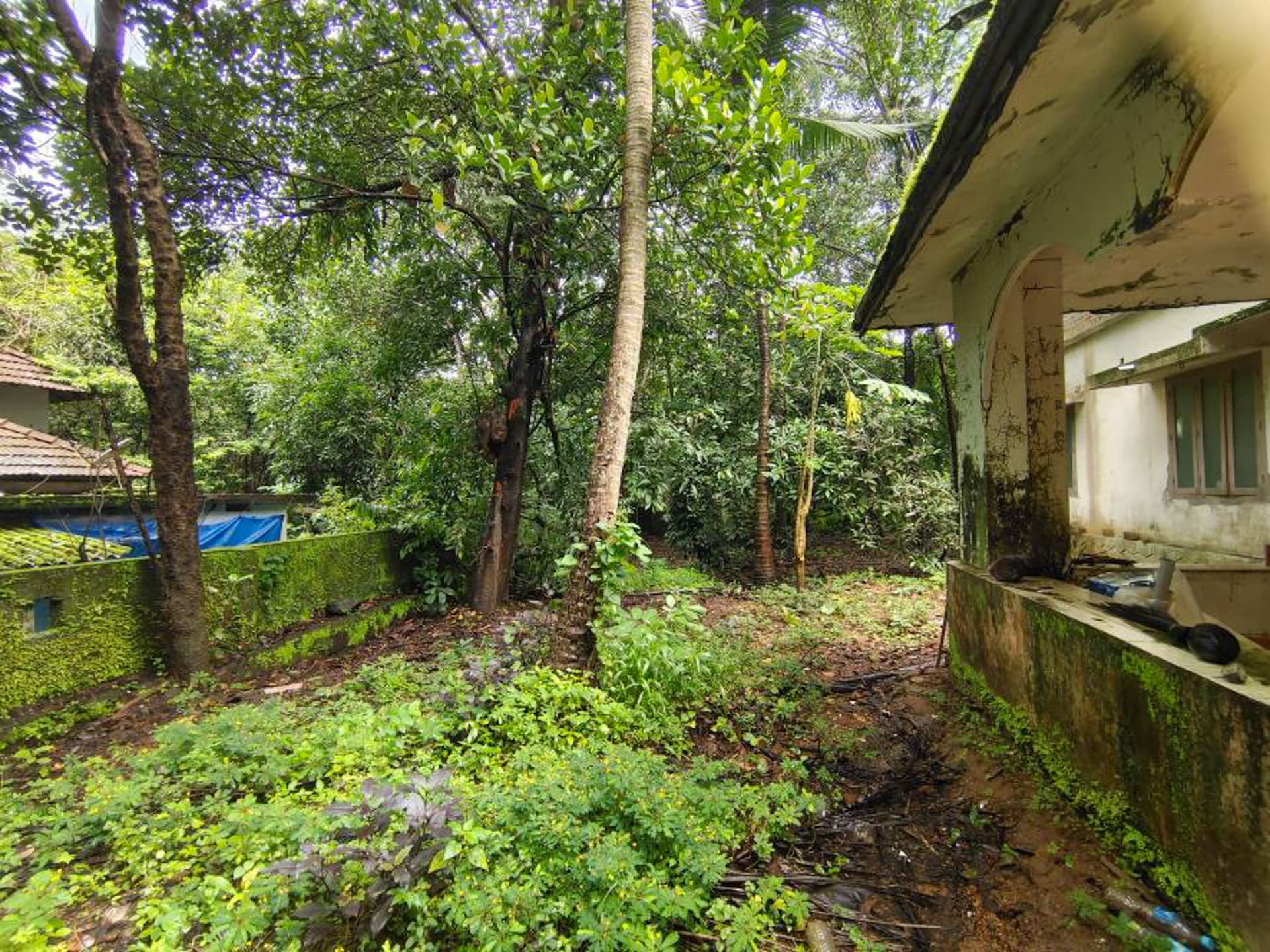 Property Photos 18