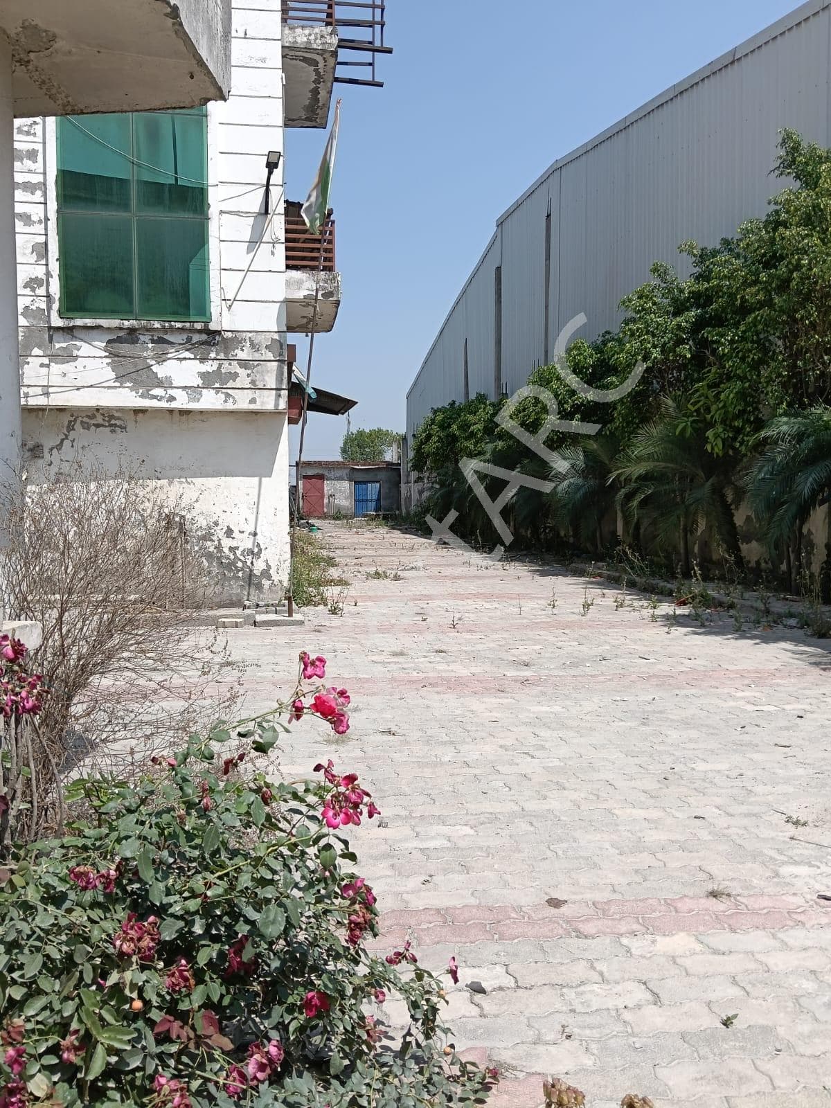 Property Photos 6