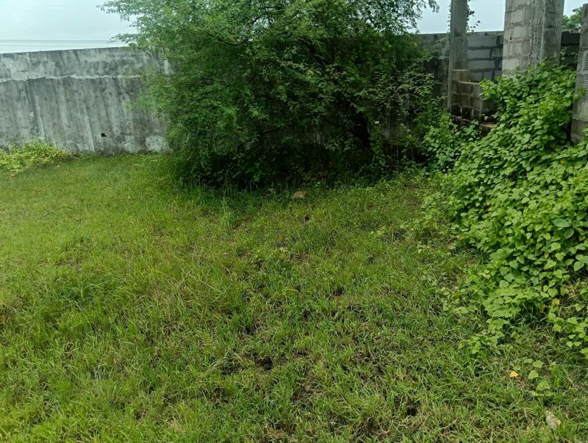 Property Photos 19