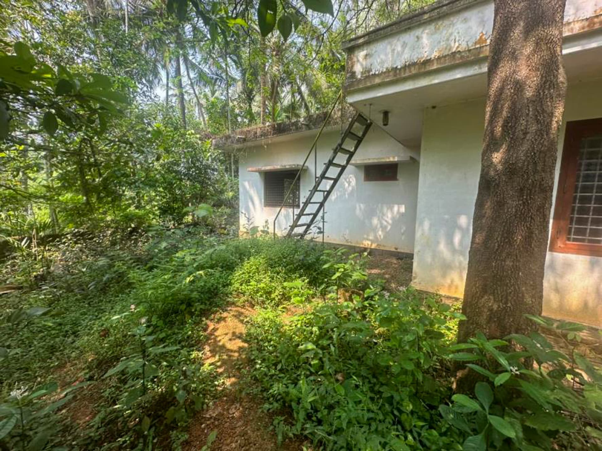 Property Photos 4