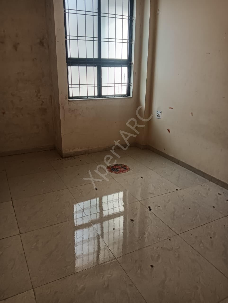 Property Photos 4