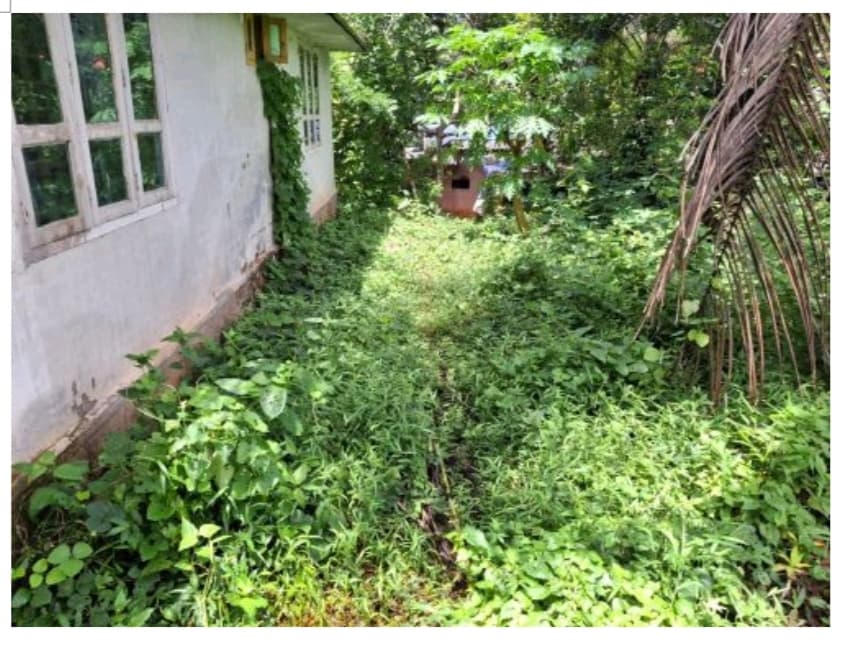 Property Photos 2