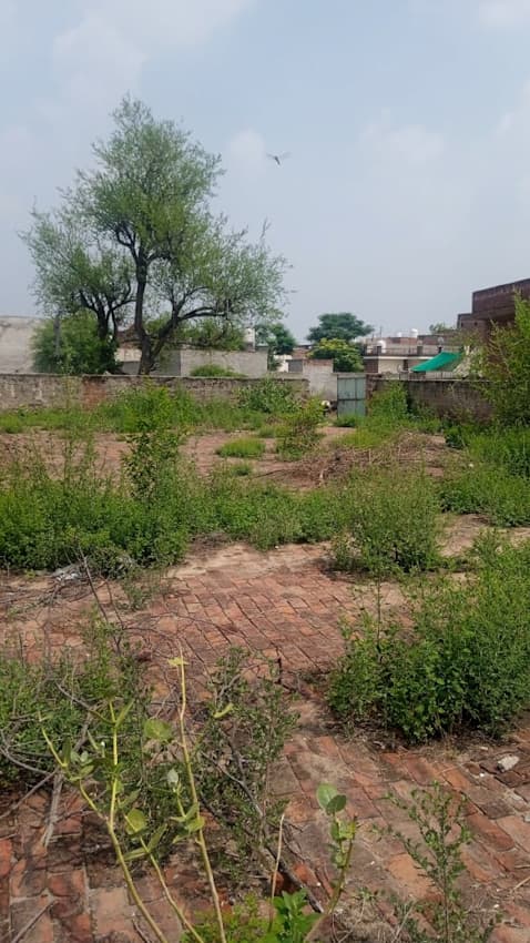 Property Photos 4