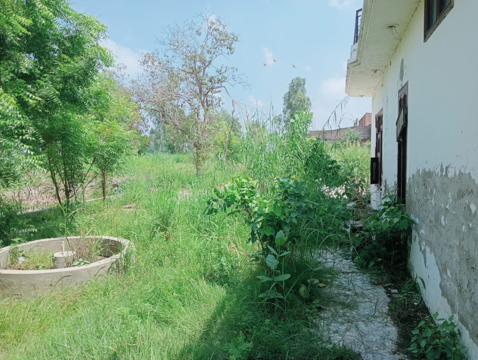 Property Photos 9