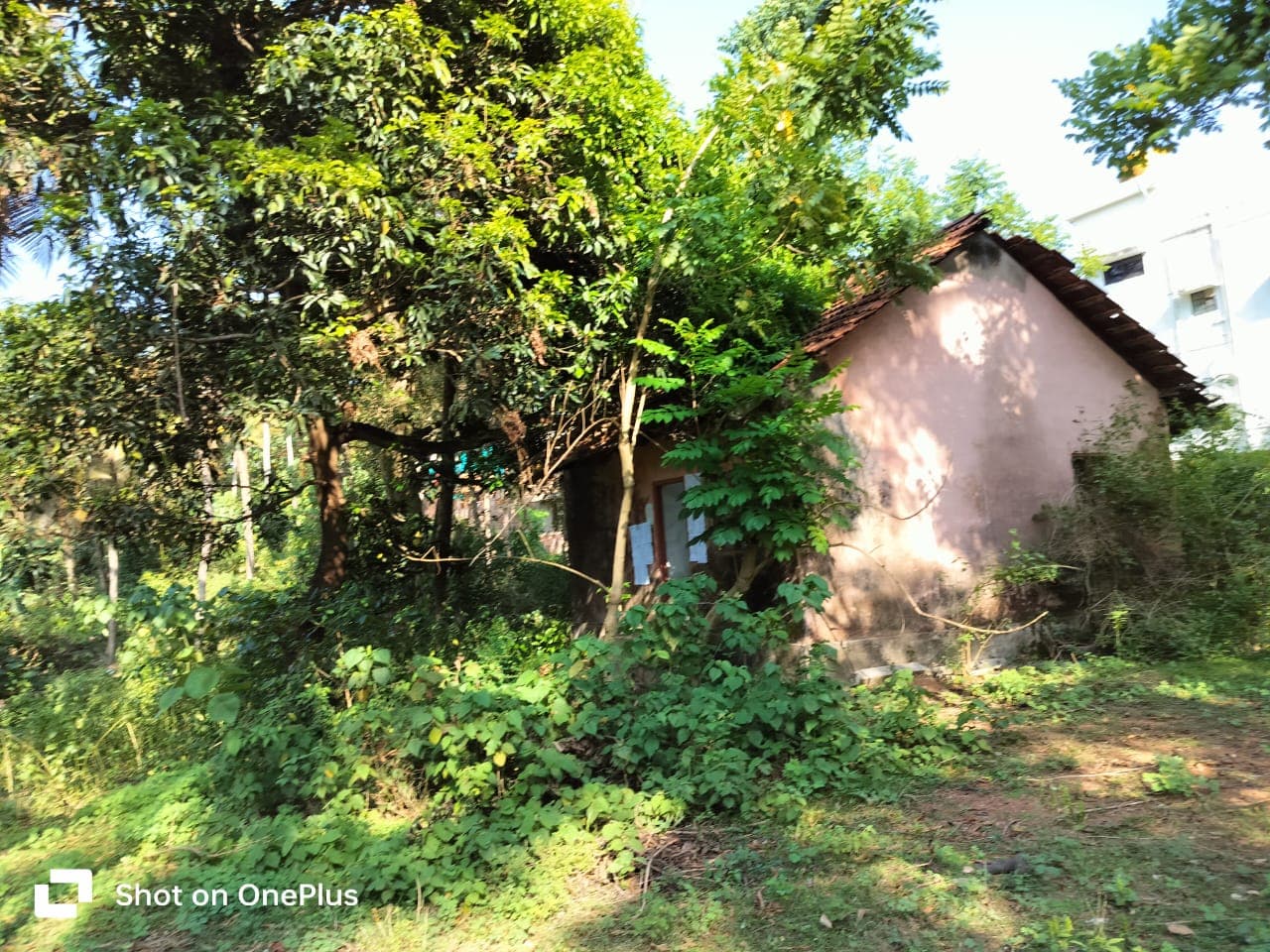 Property Photos 6