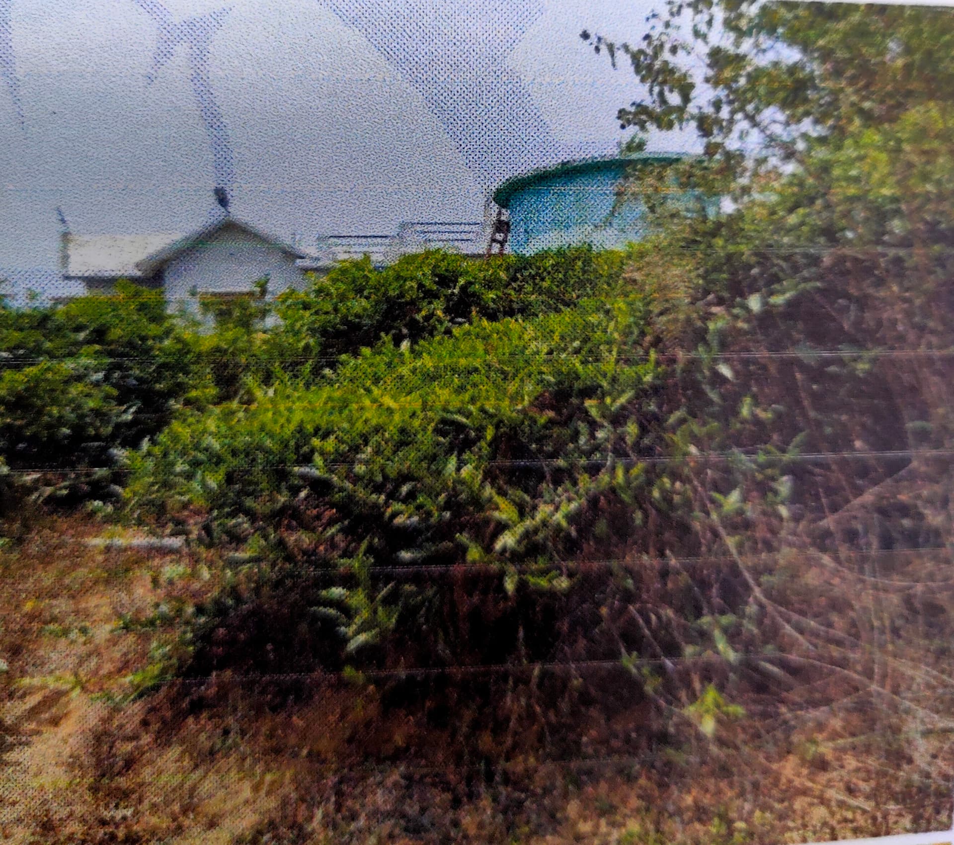 Property Photos 5