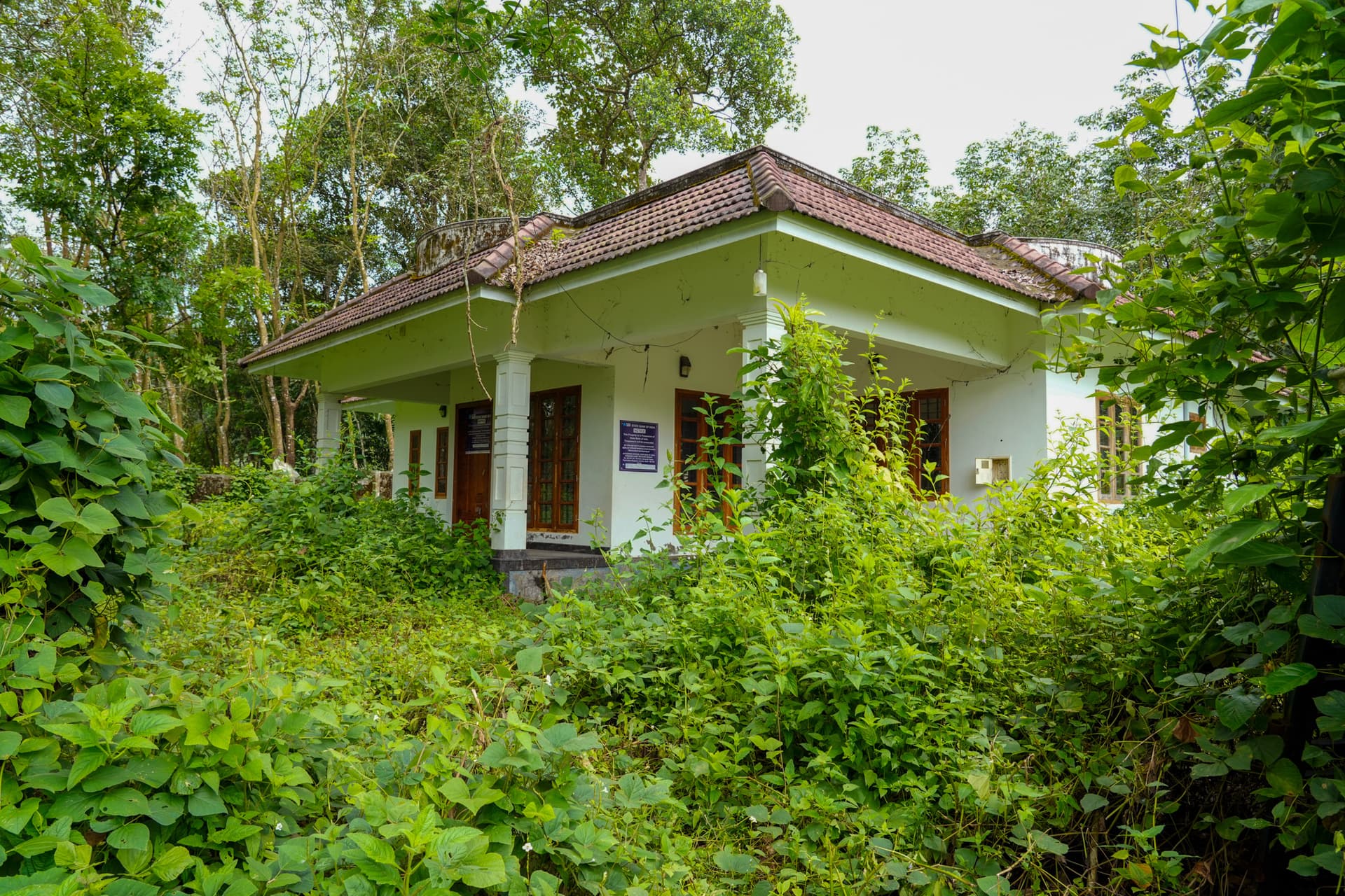 Property Photos 9