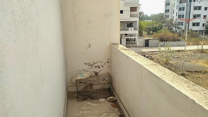 Property Photos 7