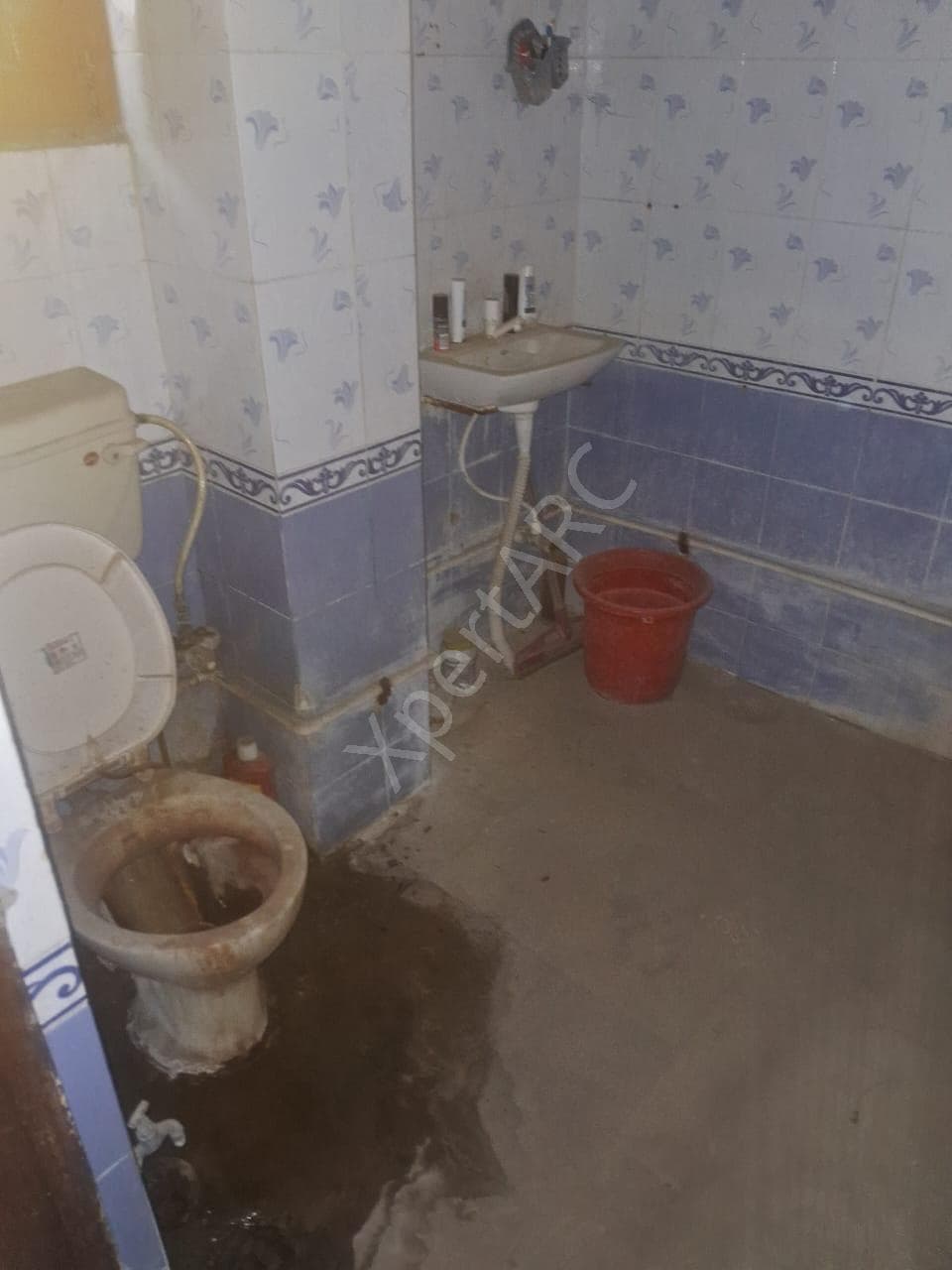 Property Photos 15