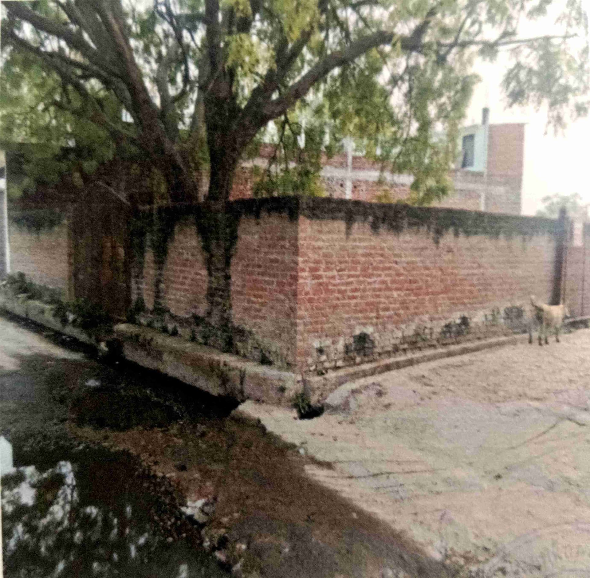 Property Photos 2
