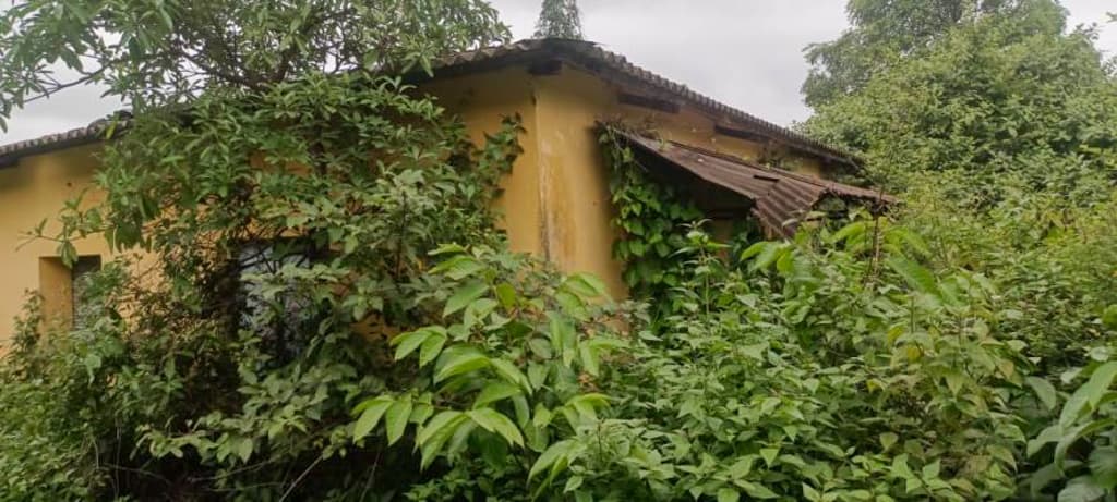 Property Photos 19