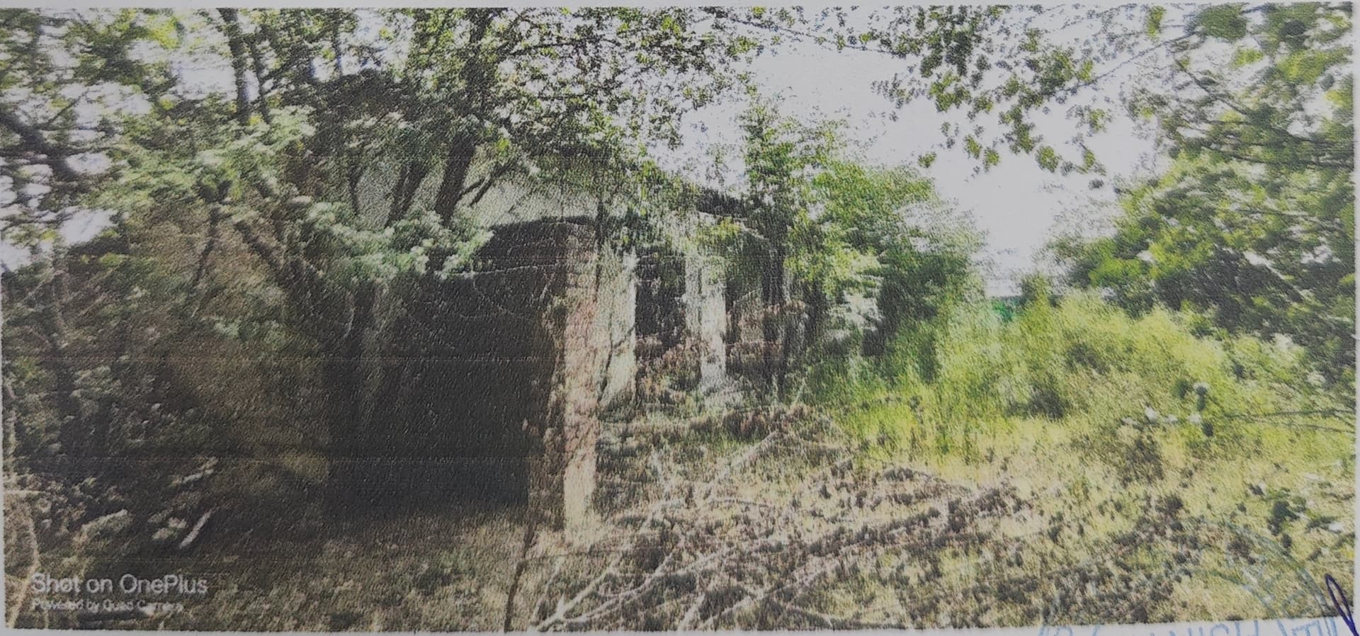 Property Photos 2