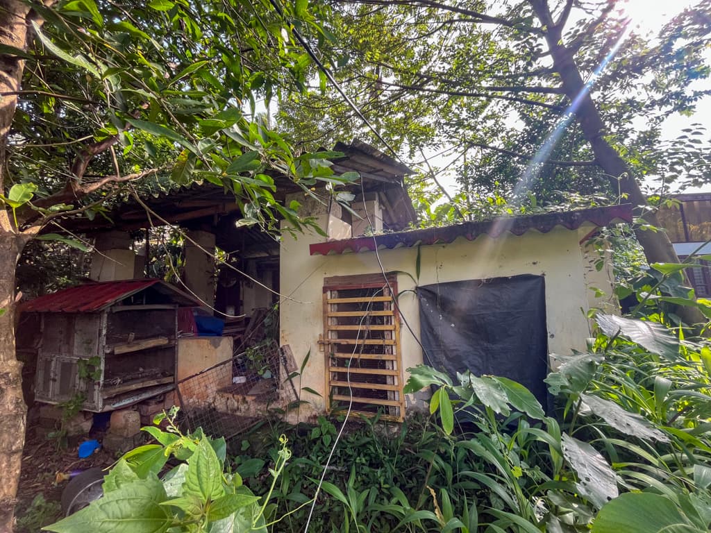 Property Photos 2