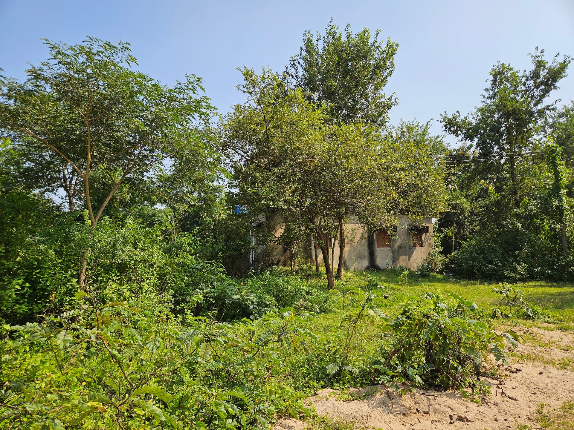 Property Photos 2