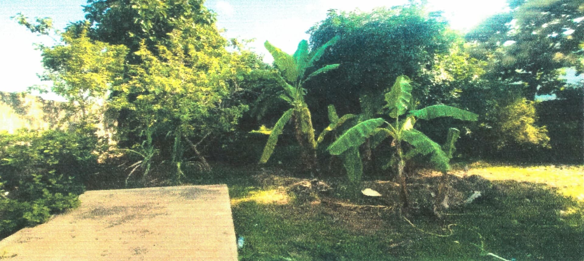 Property Photos 2