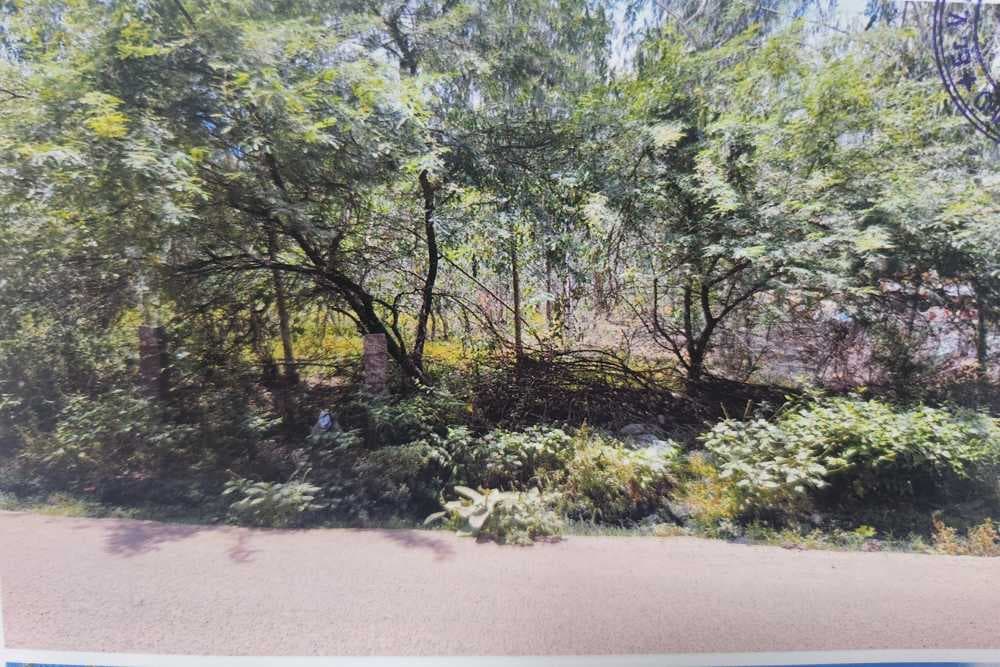 Property Photos 2