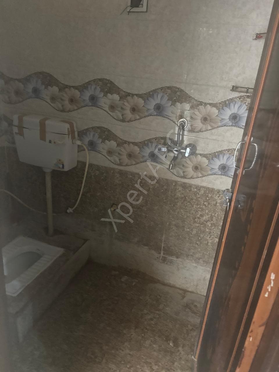 Property Photos 5