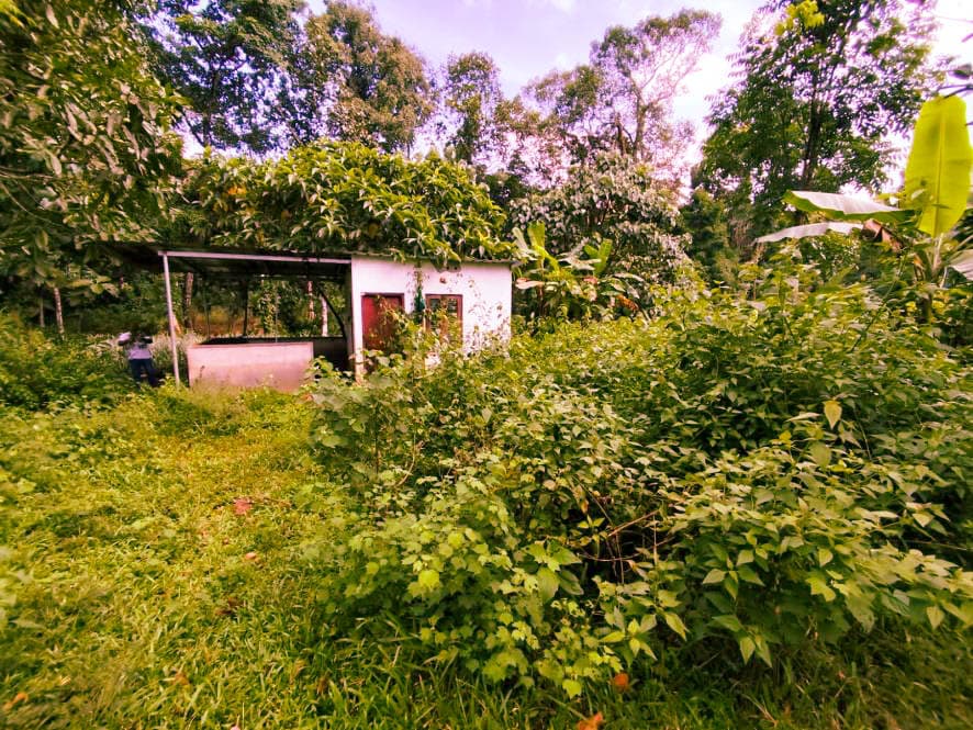 Property Photos 3
