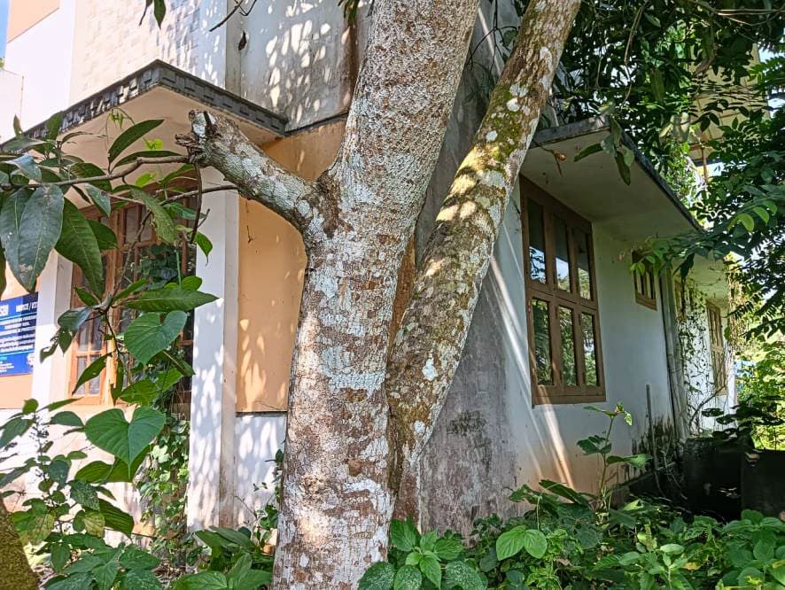 Property Photos 9