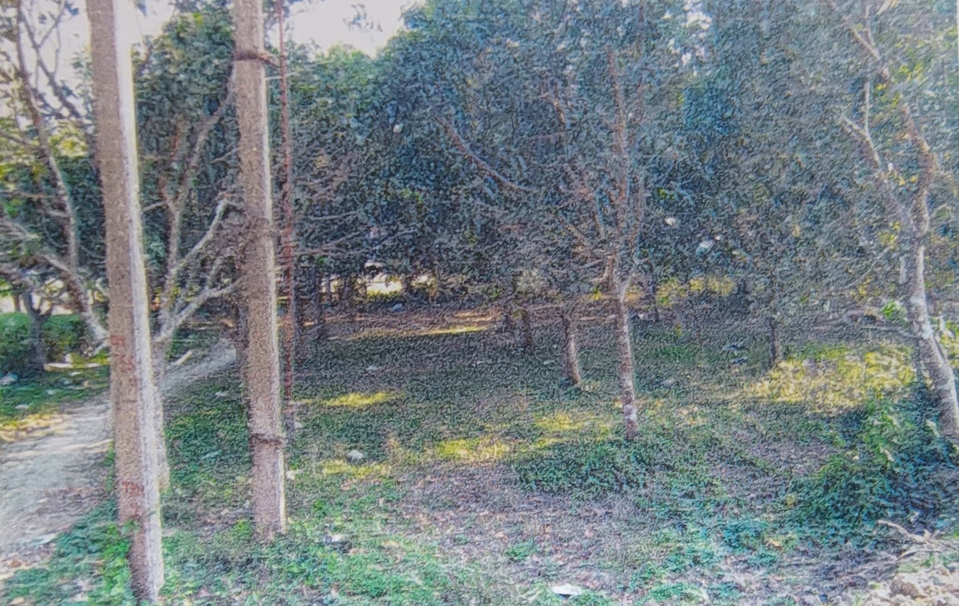 Property Photos 2