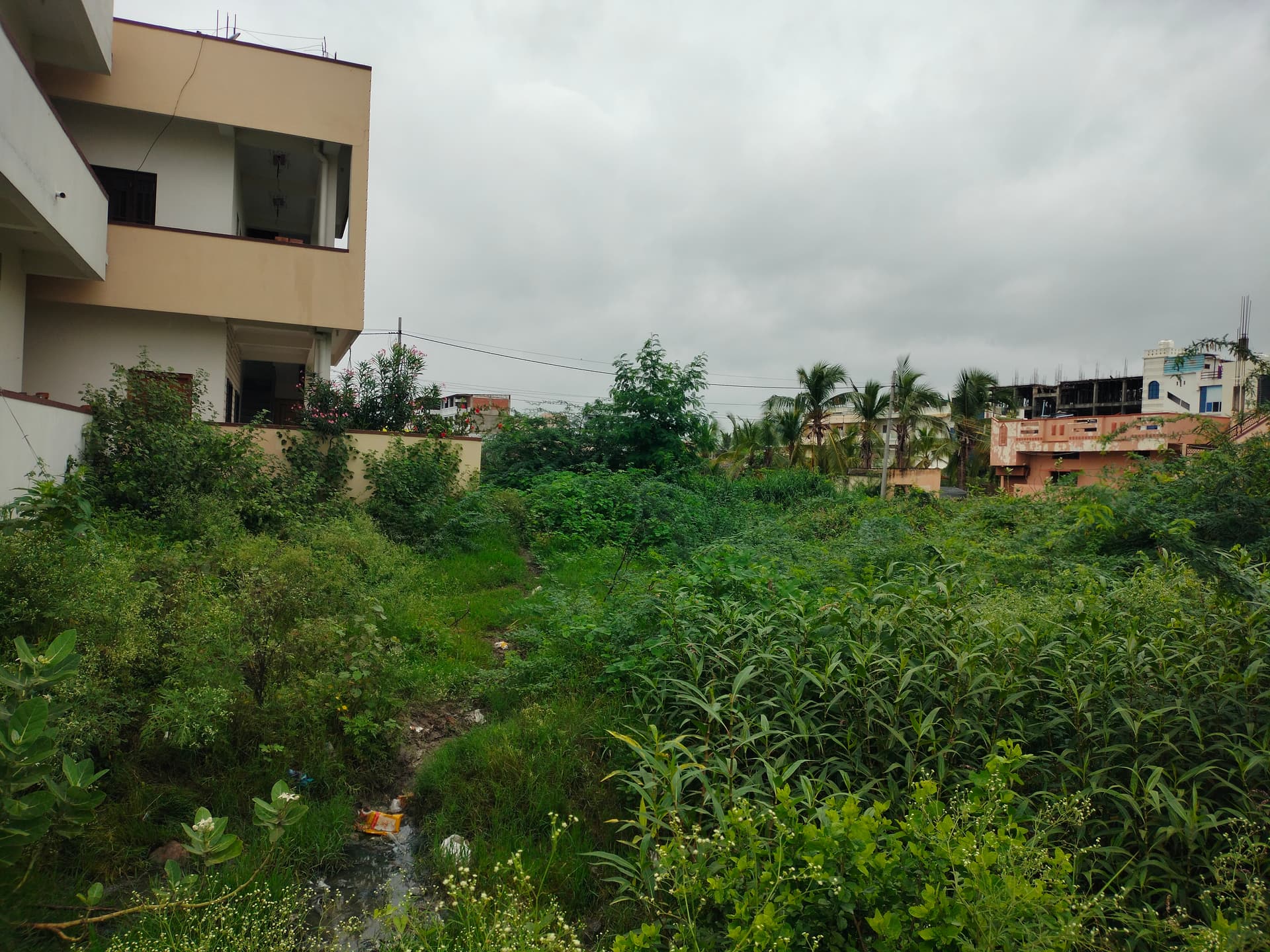 Property Photos 4