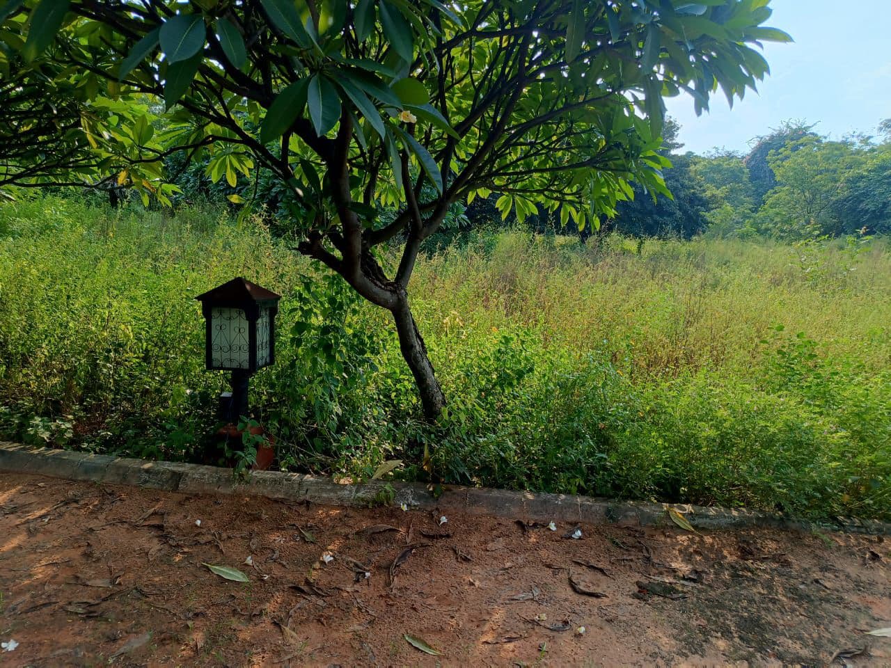 Property Photos 2