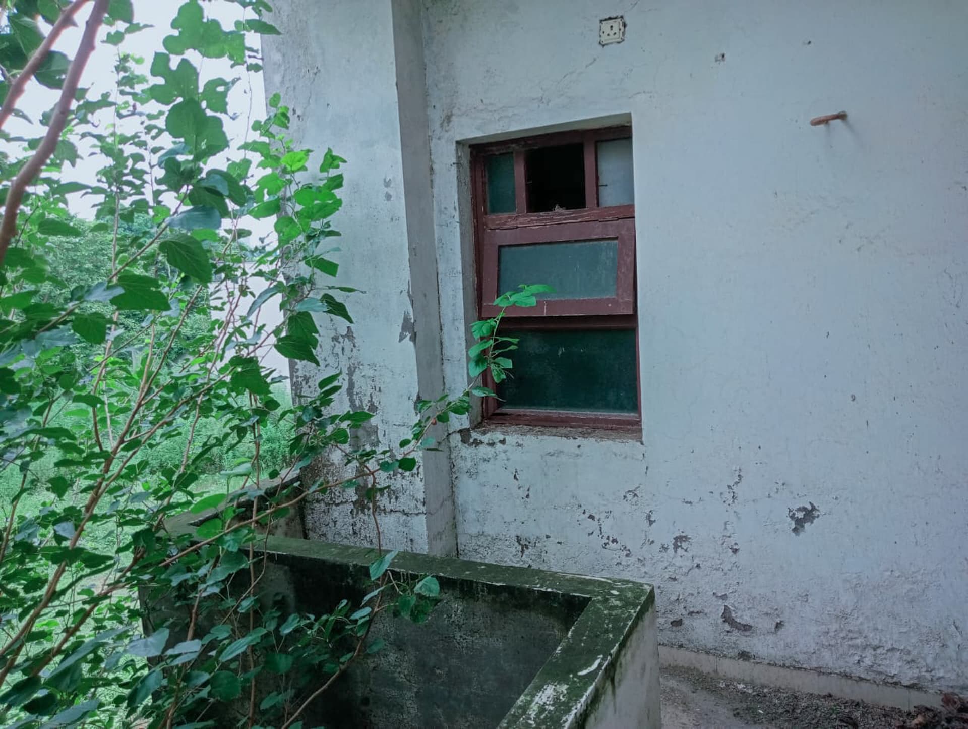 Property Photos 19