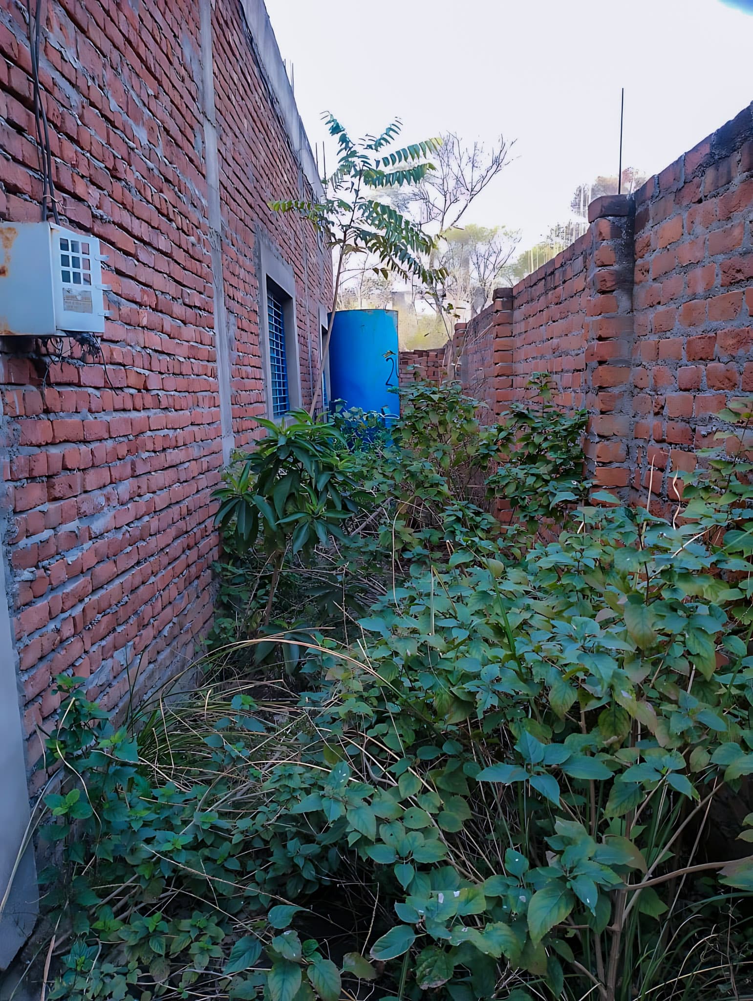 Property Photos 3