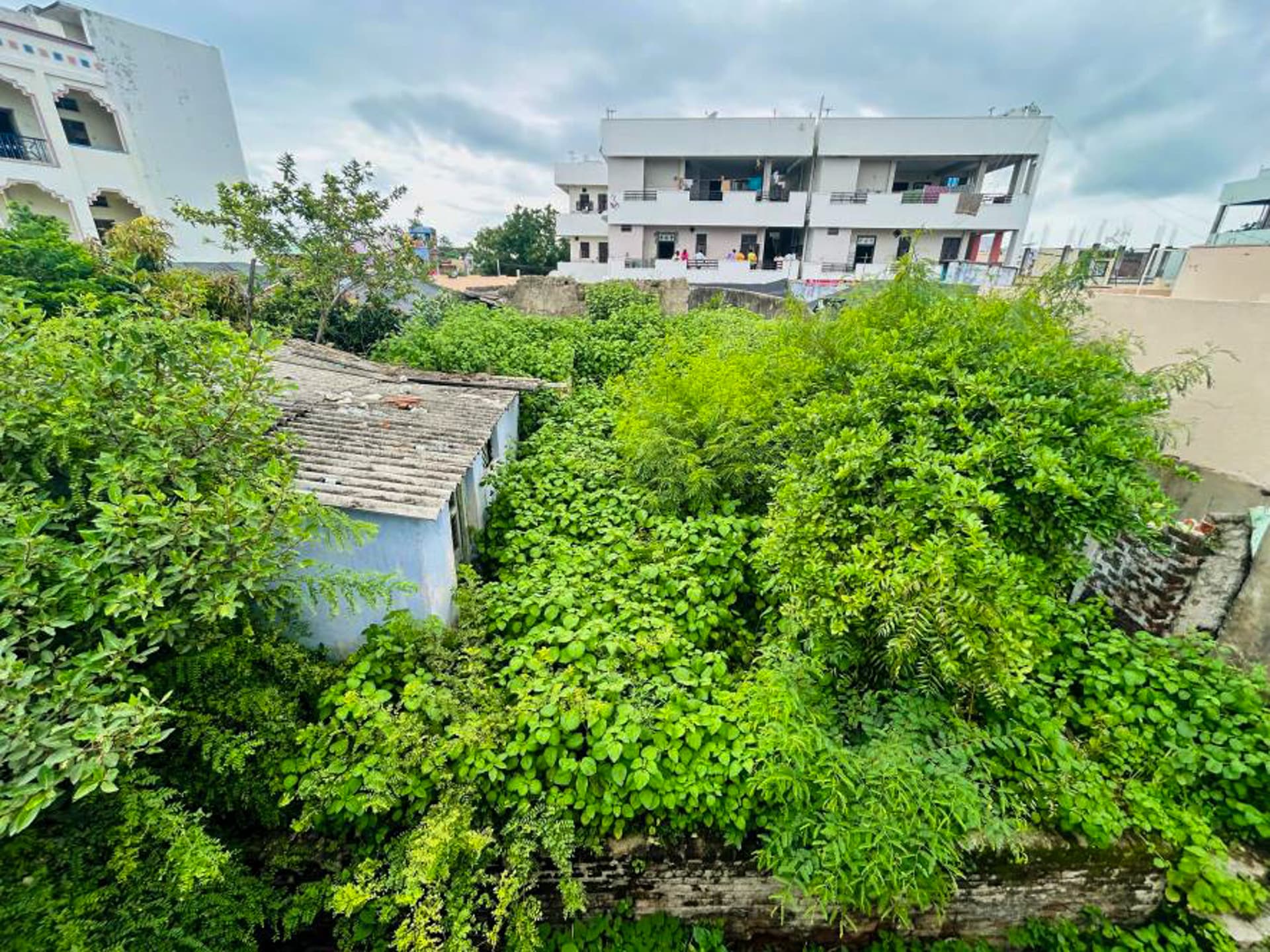 Property Photos 17