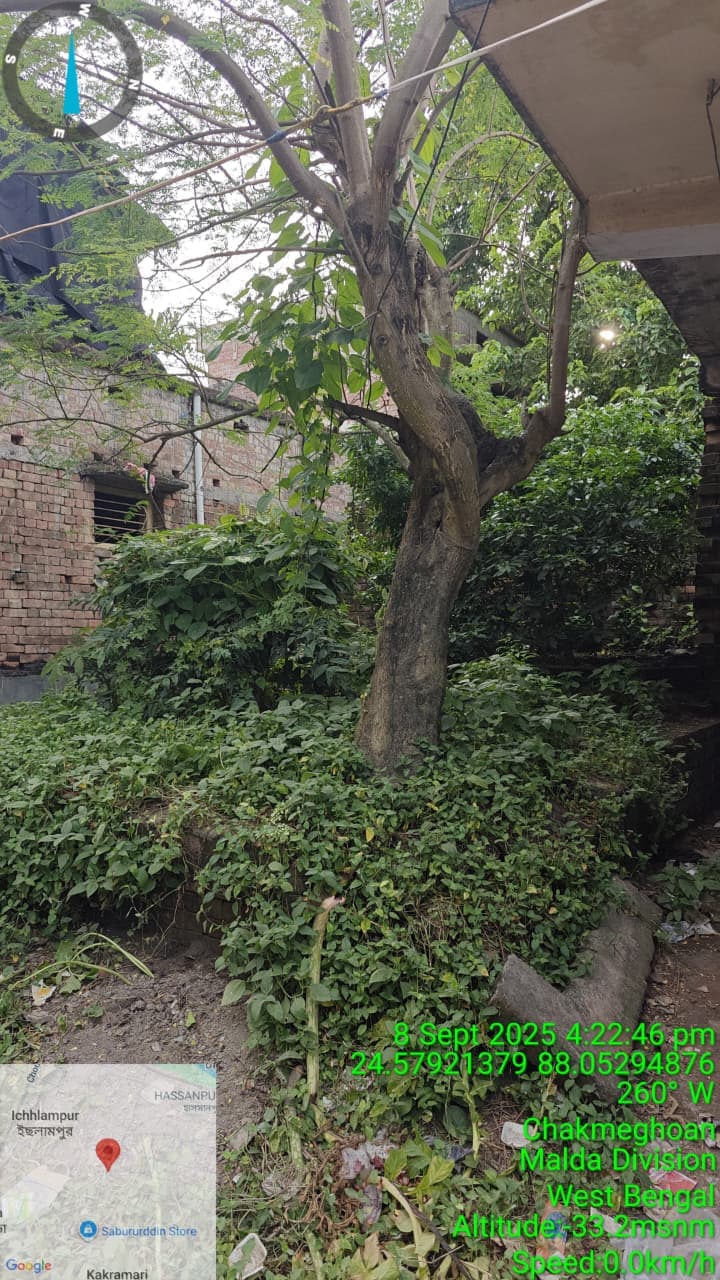 Property Photos 4