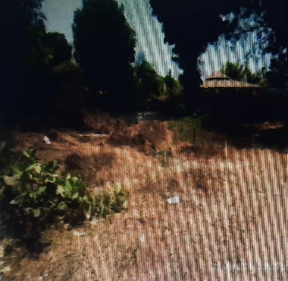 Property Photos 2