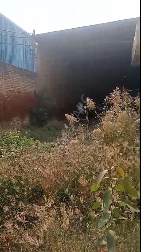 Property Photos 3
