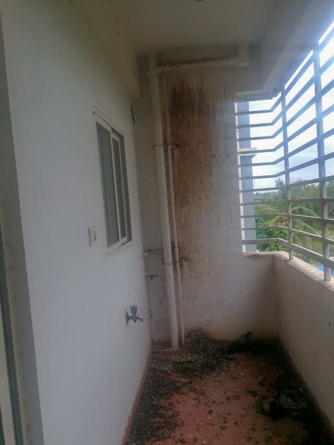 Property Photos 17