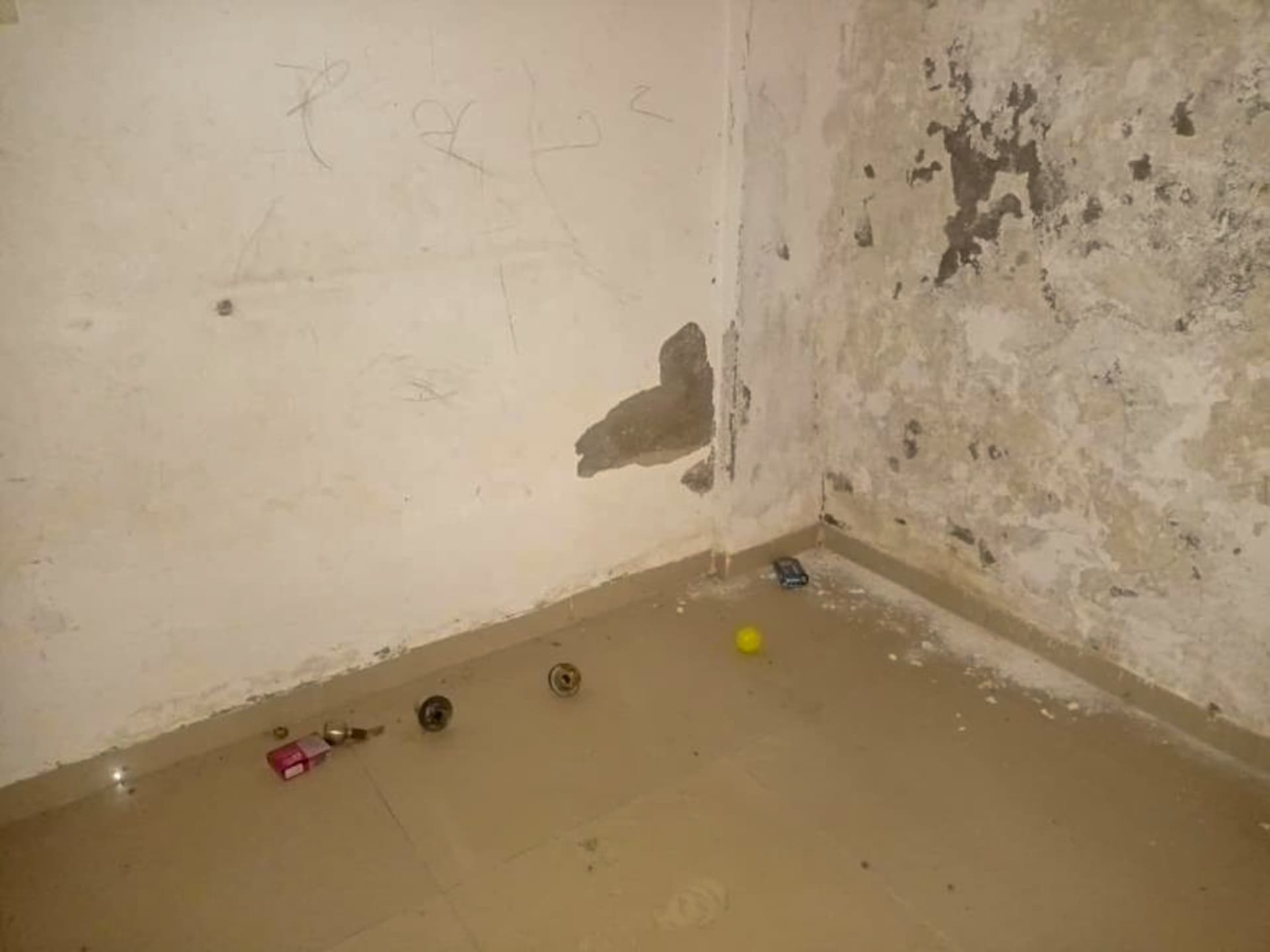 Property Photos 5
