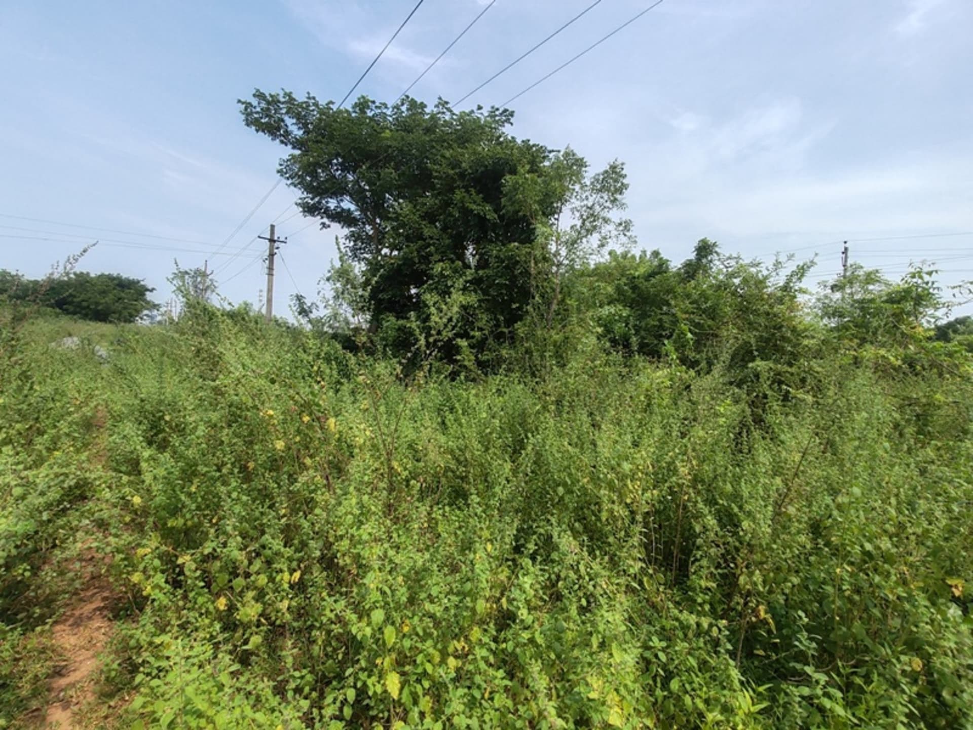 Property Photos 2
