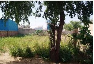 Property Photos 2