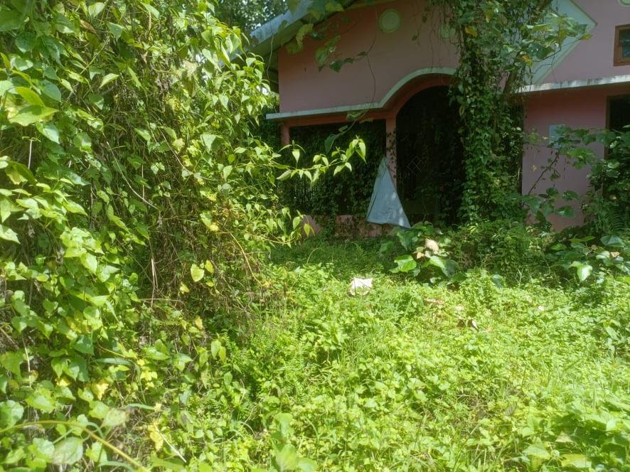 Property Photos 5