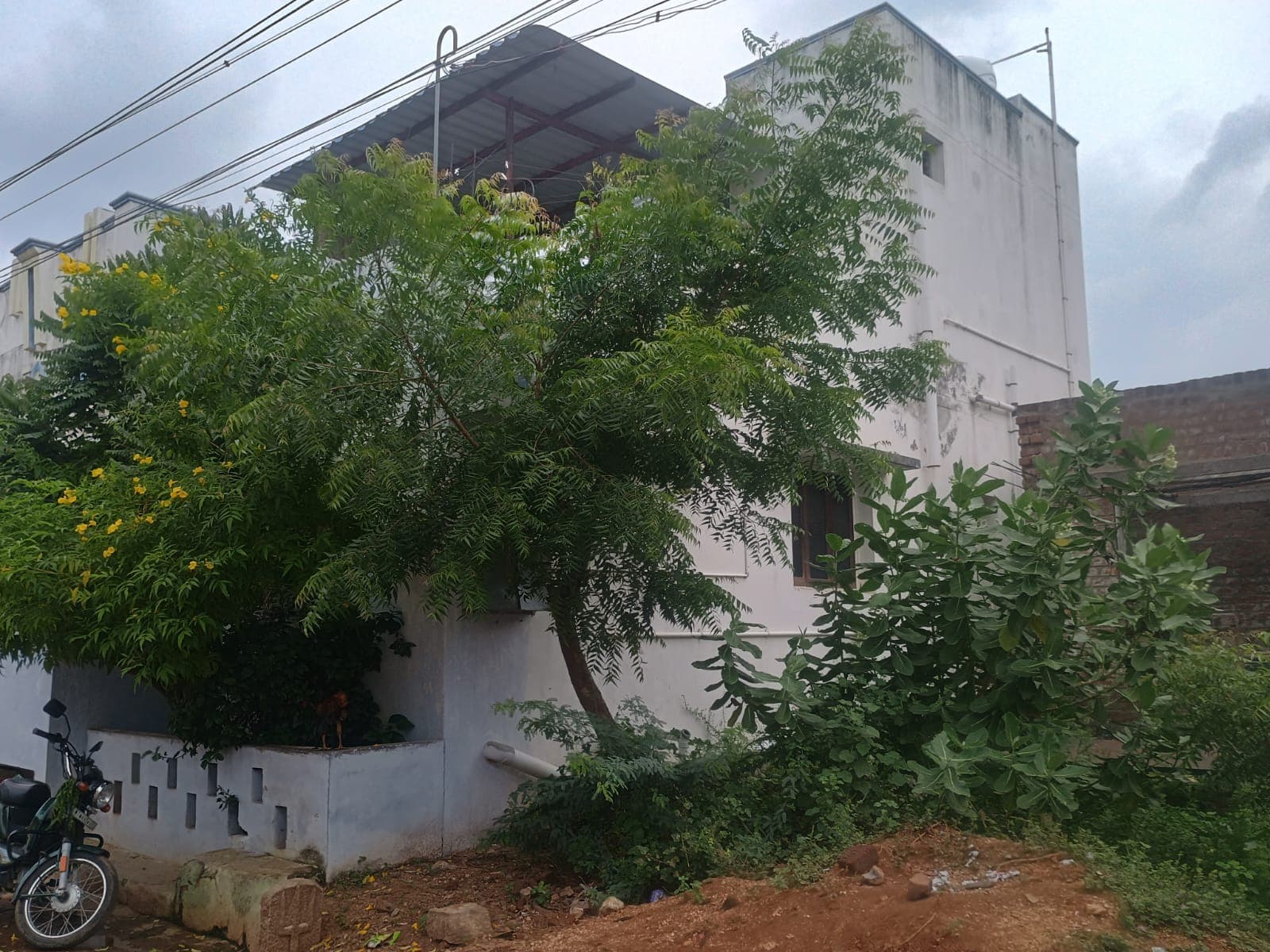 Property Photos 3