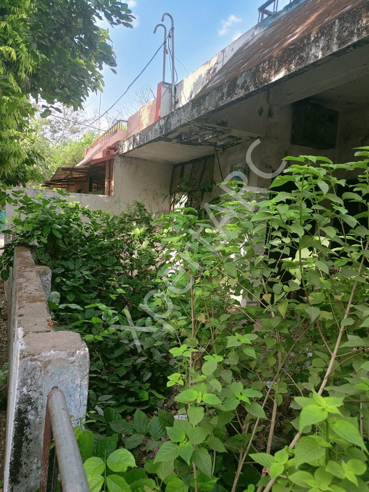 Property Photos 6