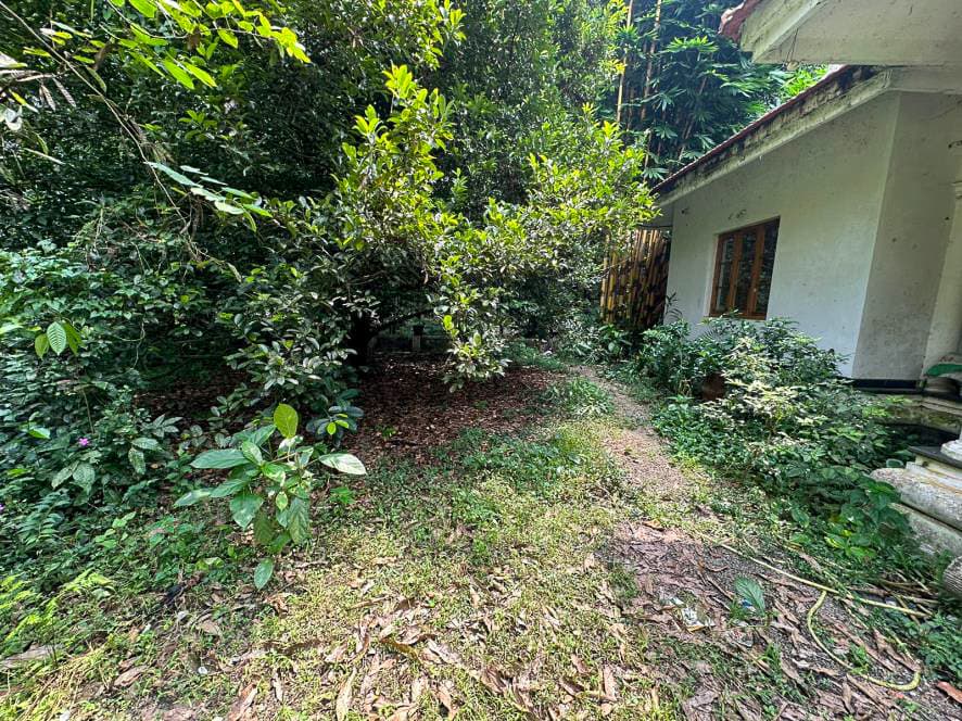 Property Photos 16