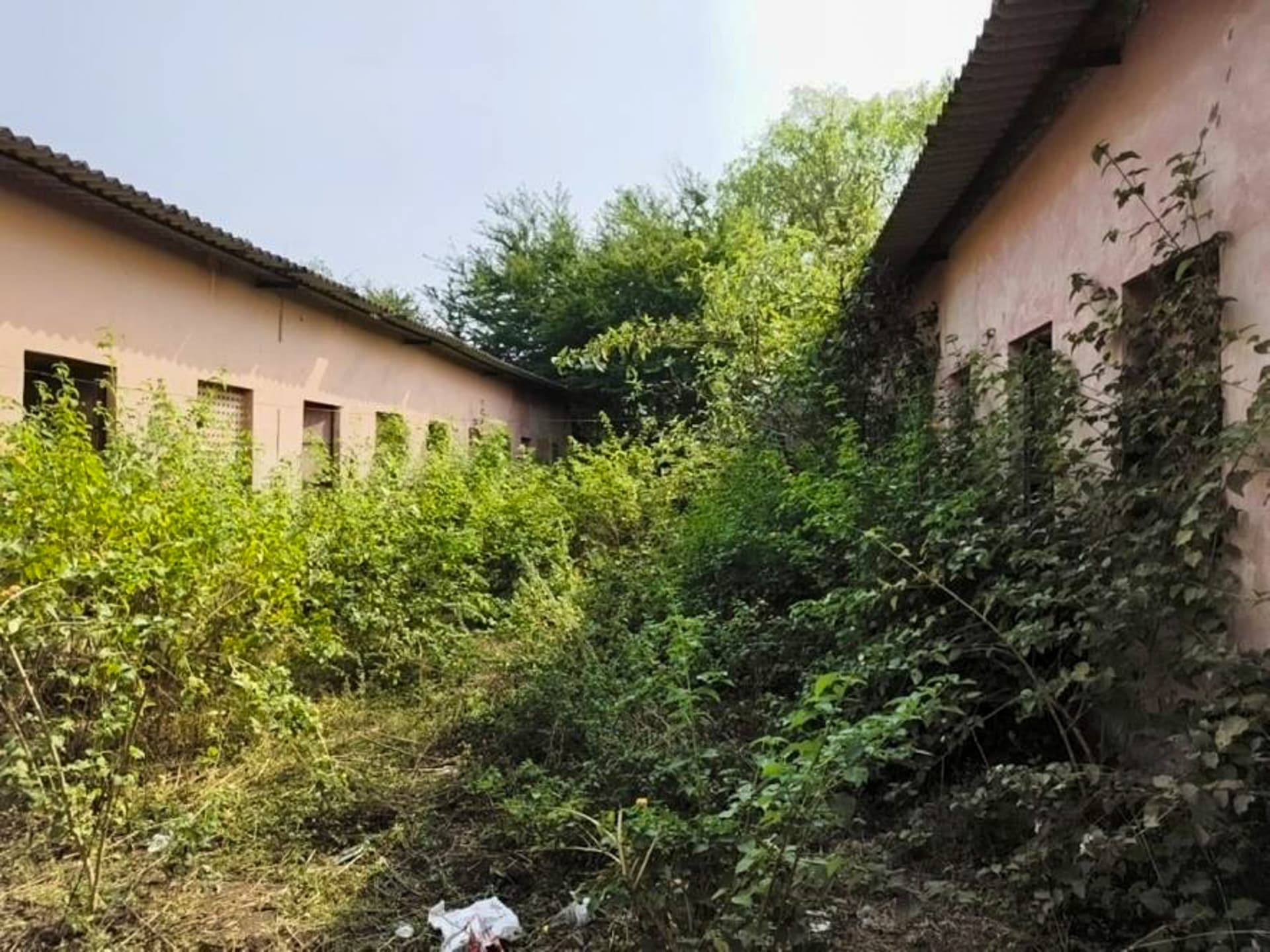 Property Photos 18