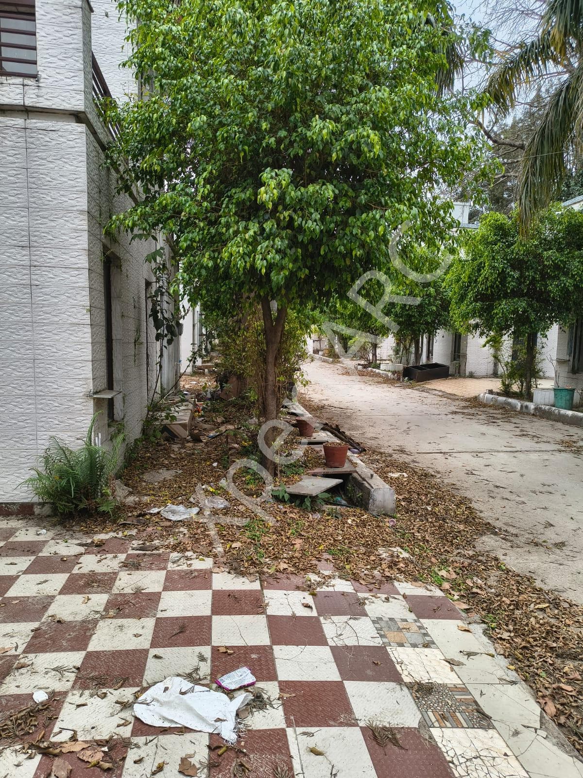 Property Photos 6