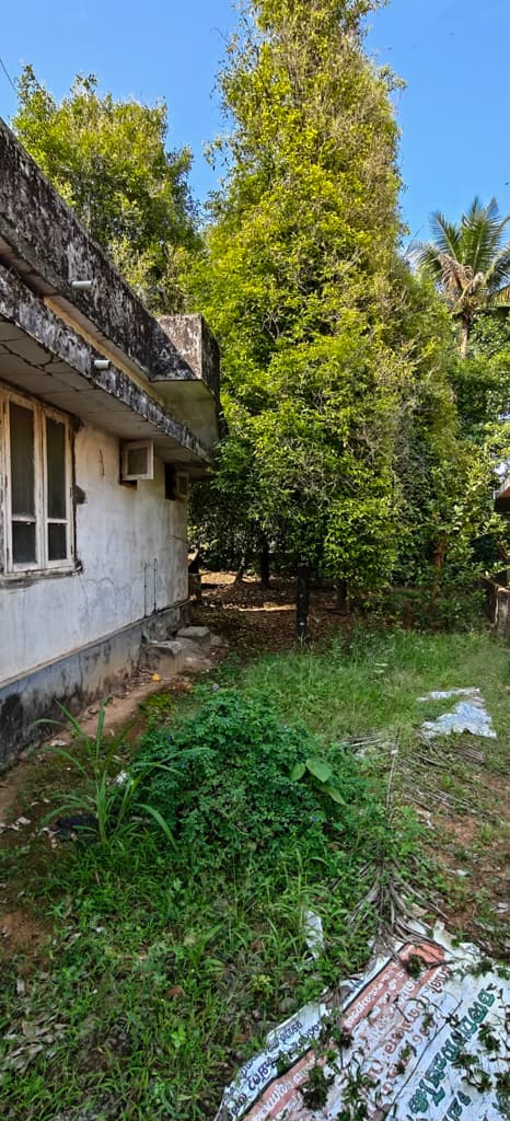 Property Photos 2