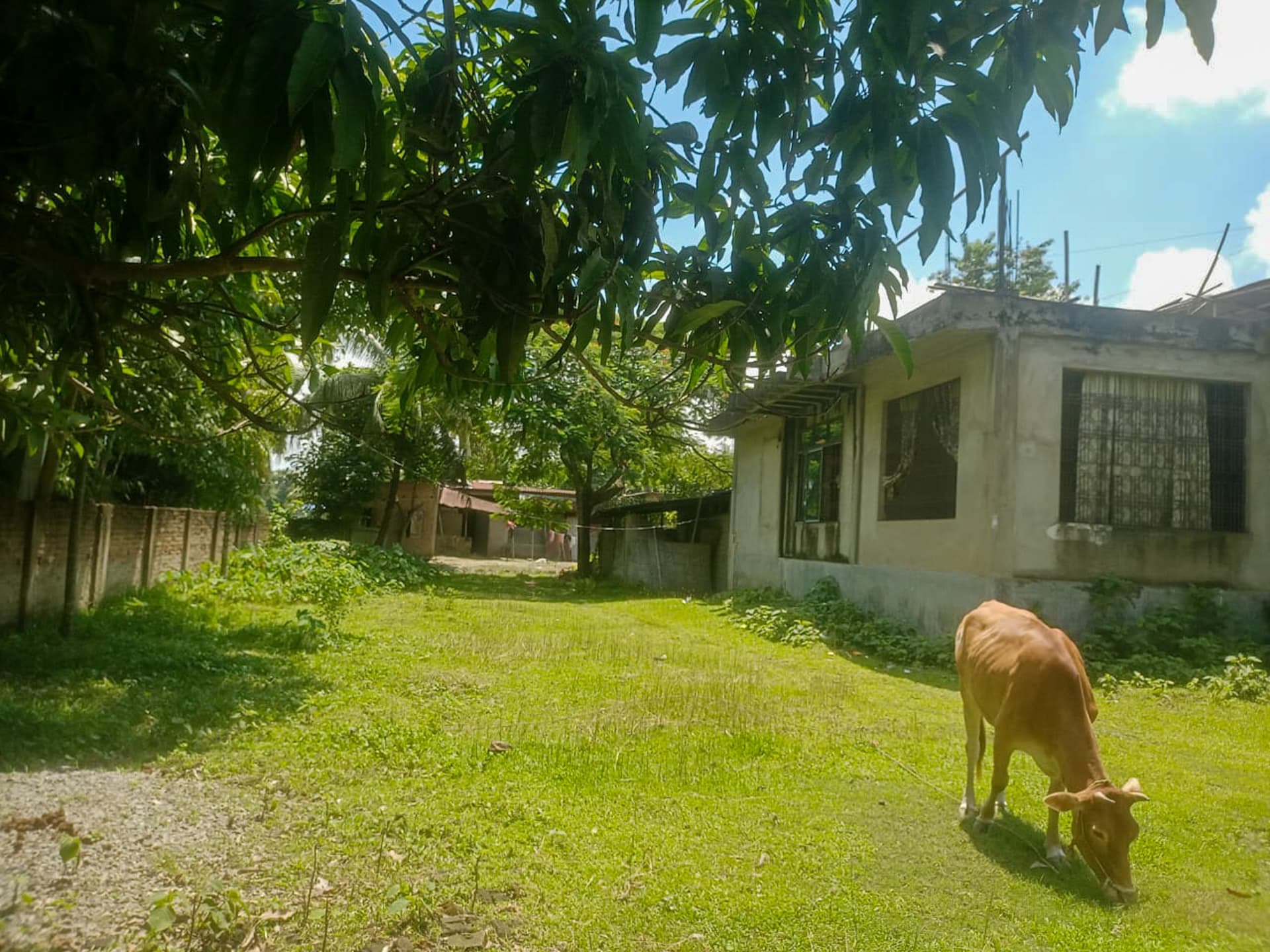 Property Photos 6