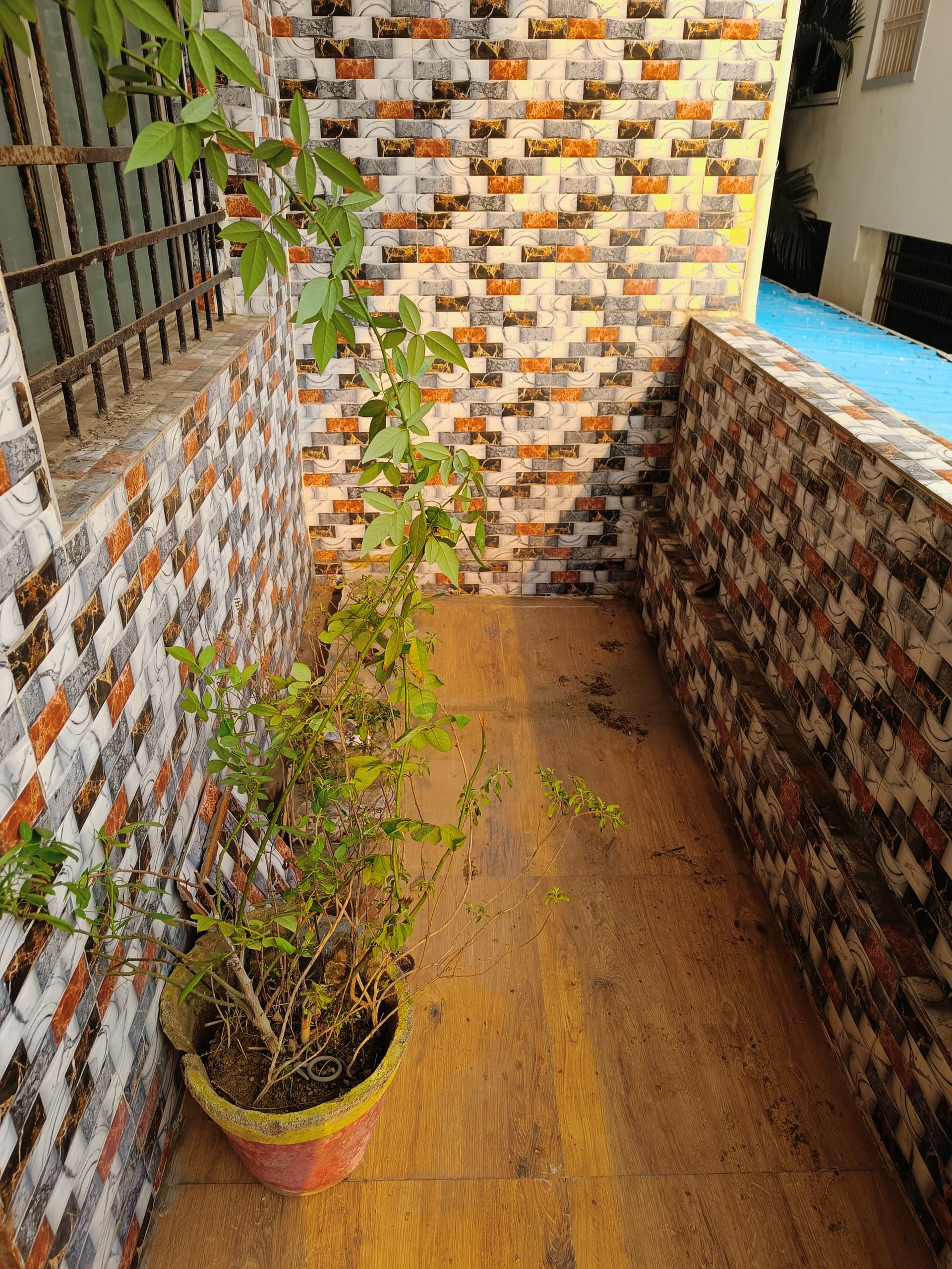 Property Photos 6
