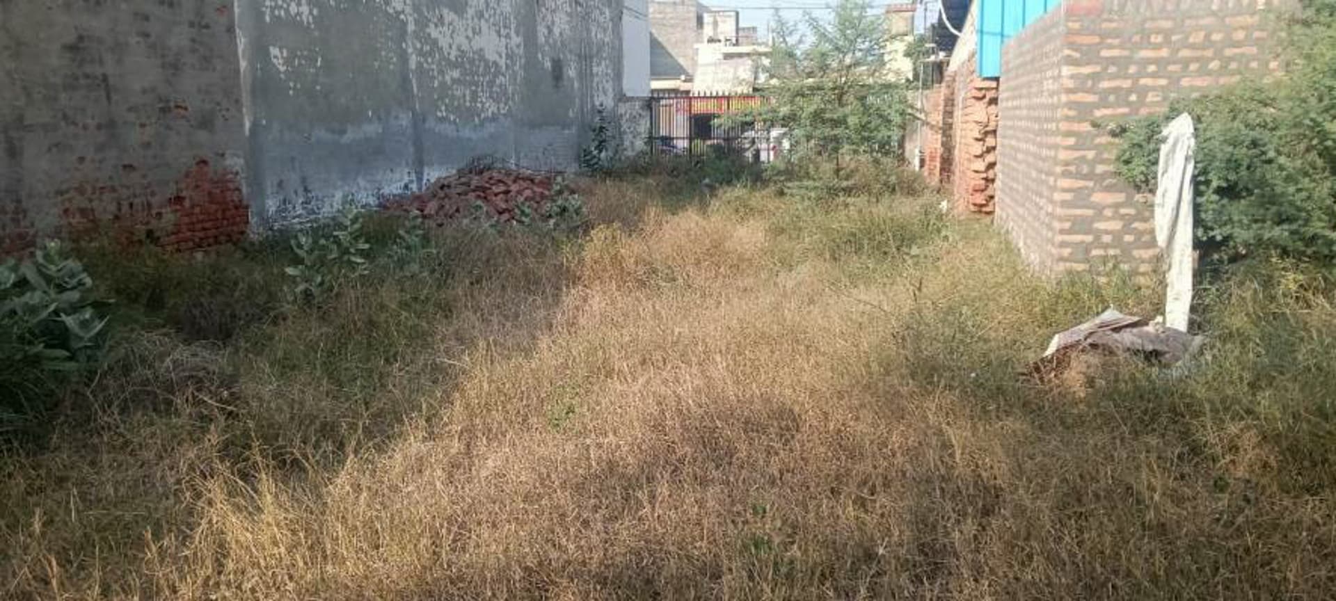 Property Photos 6