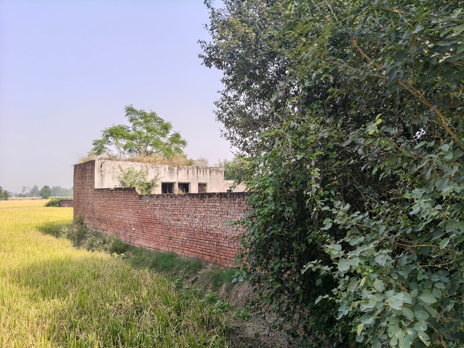 Property Photos 7