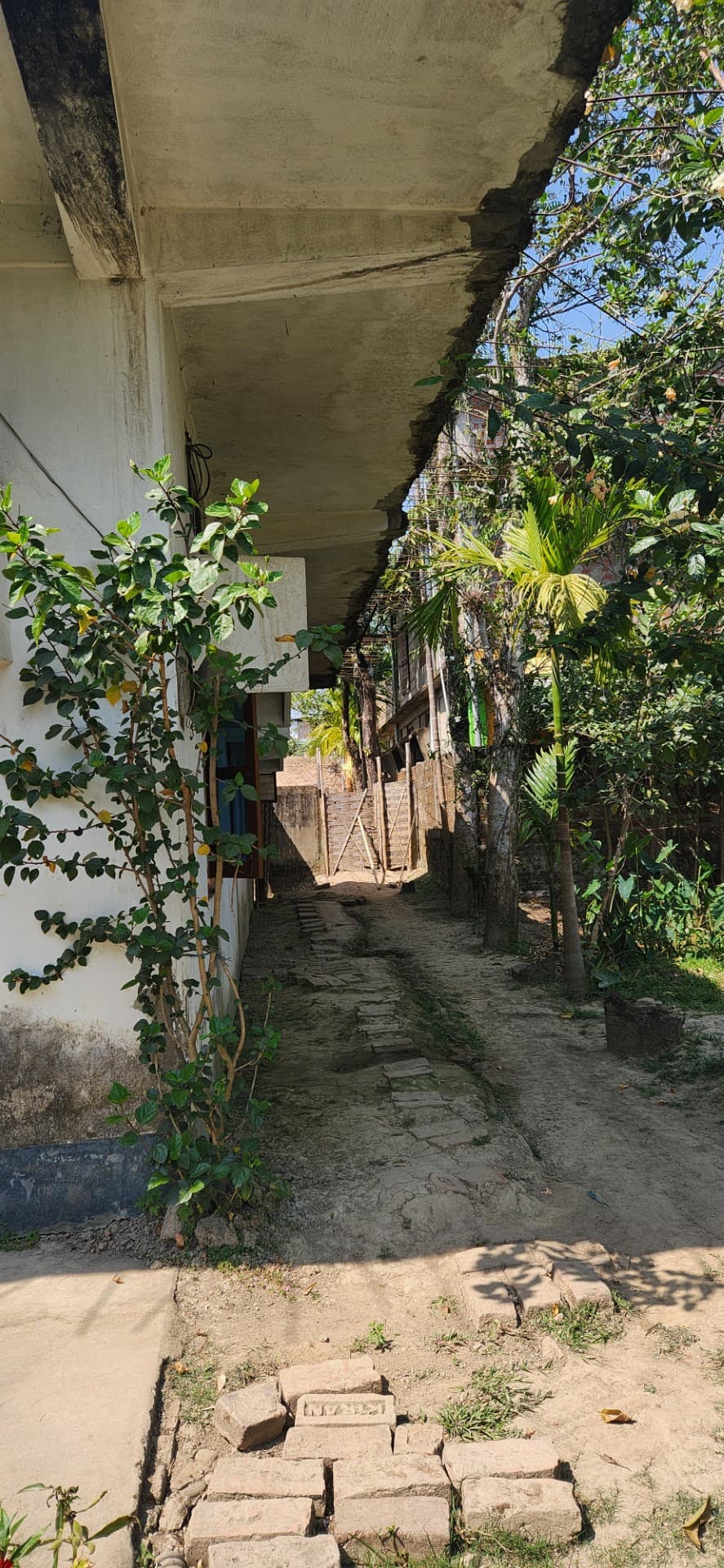 Property Photos 3