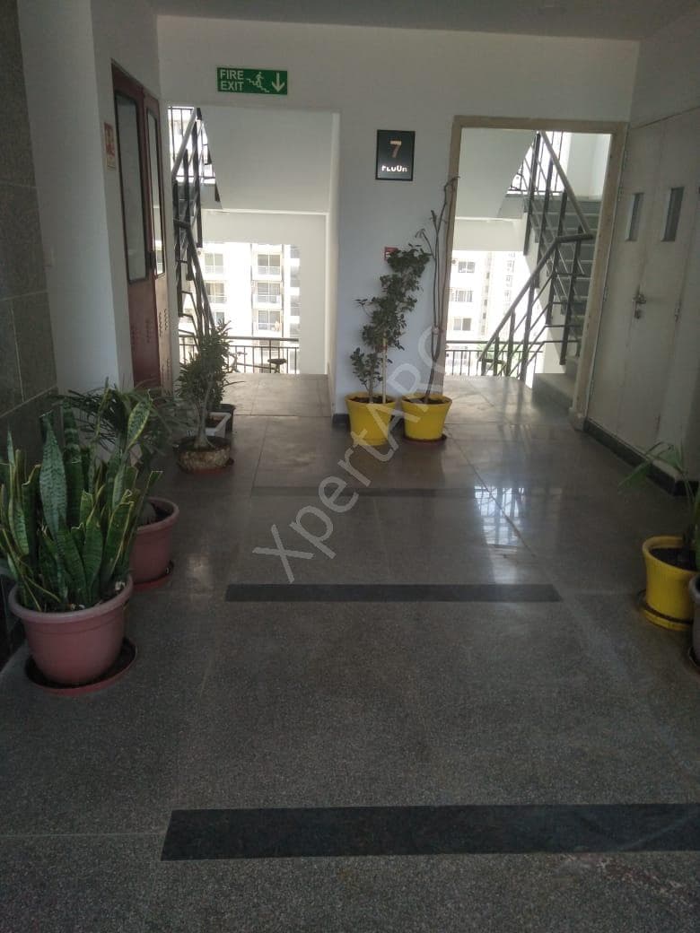 Property Photos 2